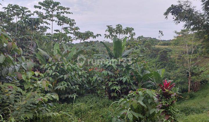 Dijual Tanah Lokasi Strategis di Cikalong Kulon Kab Cianjur 5