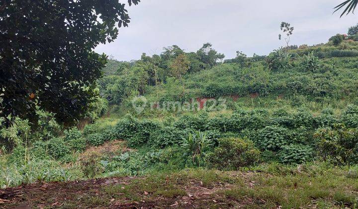 Dijual Tanah Lokasi Strategis di Cikalong Kulon Kab Cianjur 6