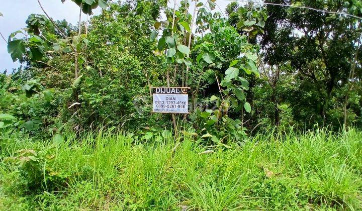 Tanah Cikerai Akses Jalan Raya Dekat Kantor Dinsos 2