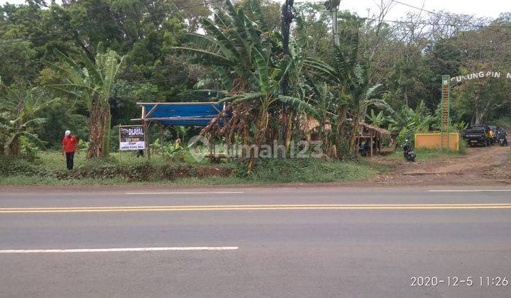 Lahan Jalan Utama Serang-Cilegon Gunung Pinang 11