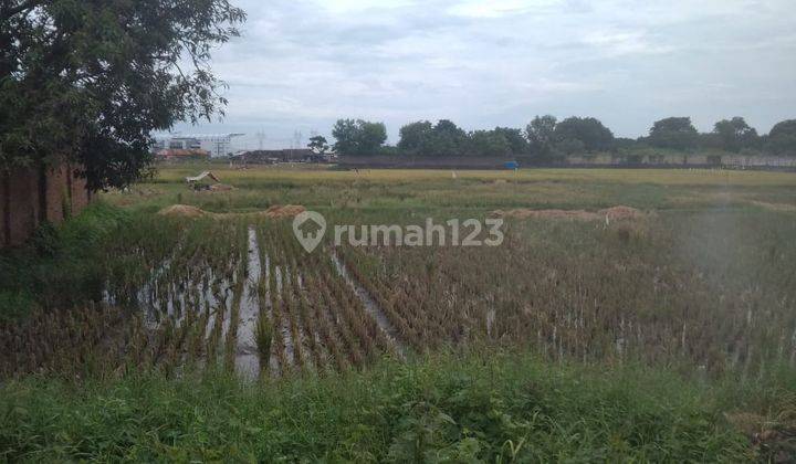 Lahan Jalan Besar Cilegon Kadipaten Cibeber 2