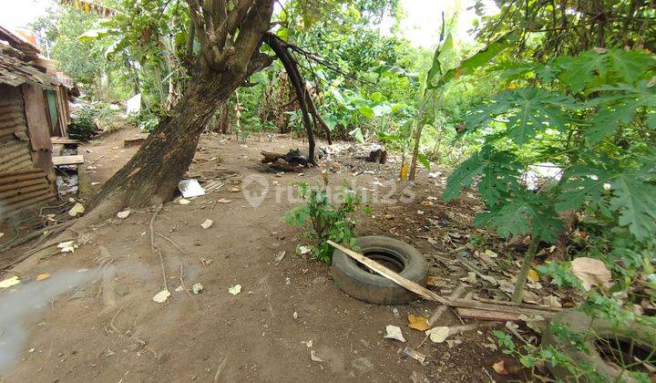 Tanah Kavling Jelumprit Waringinkurung Nego 5
