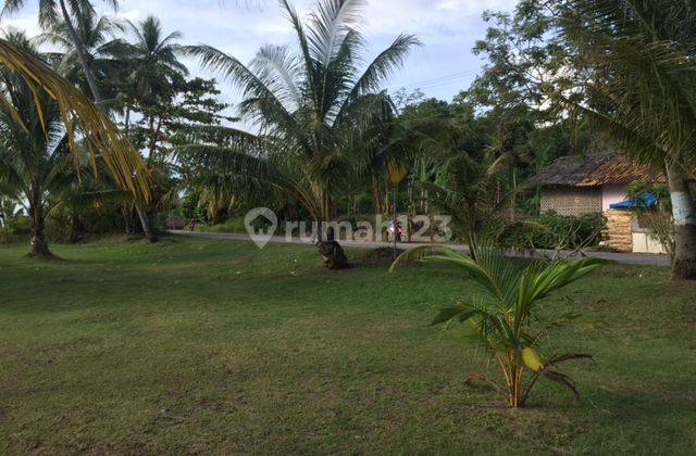 Tanah Nempel Jalan Raya Desa Bulakan Kampung Tancang Cinangka 1