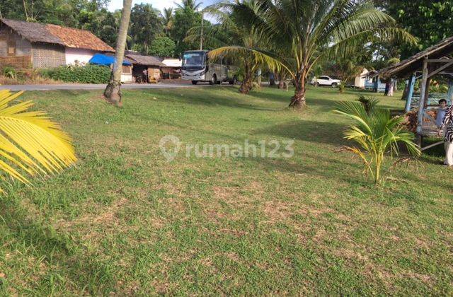 Tanah Nempel Jalan Raya Desa Bulakan Kampung Tancang Cinangka 9