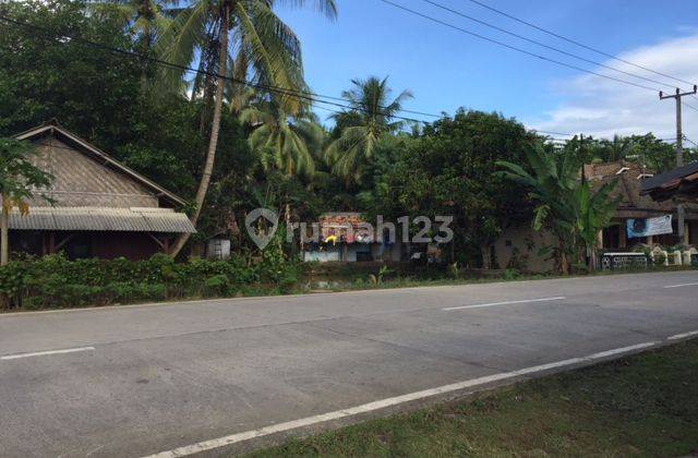 Tanah Nempel Jalan Raya Desa Bulakan Kampung Tancang Cinangka 10
