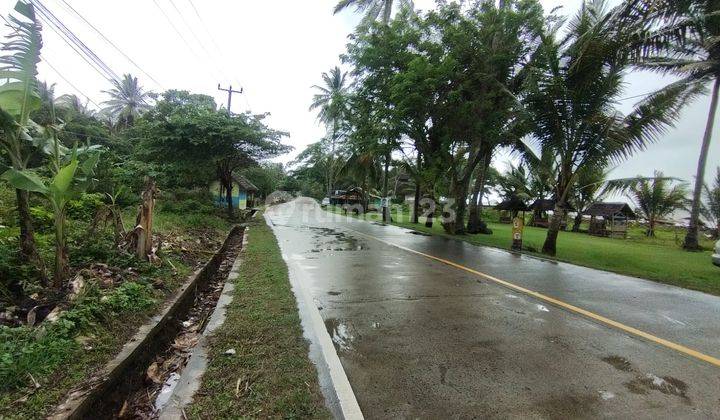 Tanah Nempel Jalan Raya Desa Bulakan Kampung Tancang Cinangka 15