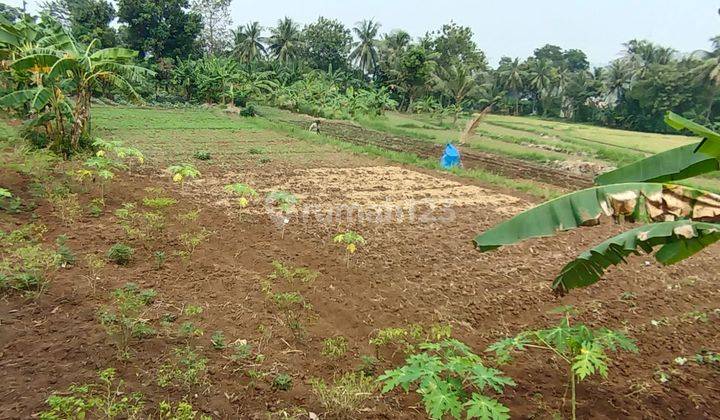 Tanah Strategis Sudah di Aspal Tegal Bunder Cilegon 2