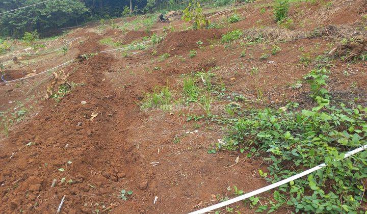 Tanah Kebun 1 Hektar Plus Gazebo Waringinkurung 1