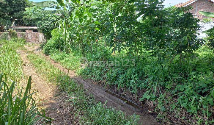 Tanah Datar Pejaten Kramatwatu Cocok Bangun Hunian 2