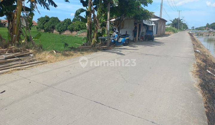 Tanah Sawah Produktif Kramatwatu Nego Halus 1