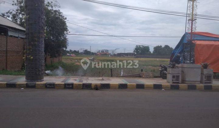 Tanaha Sawah Kadipaten Cibeber Jalan Utama 1