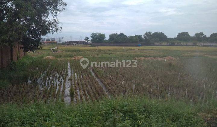 Tanaha Sawah Kadipaten Cibeber Jalan Utama 2