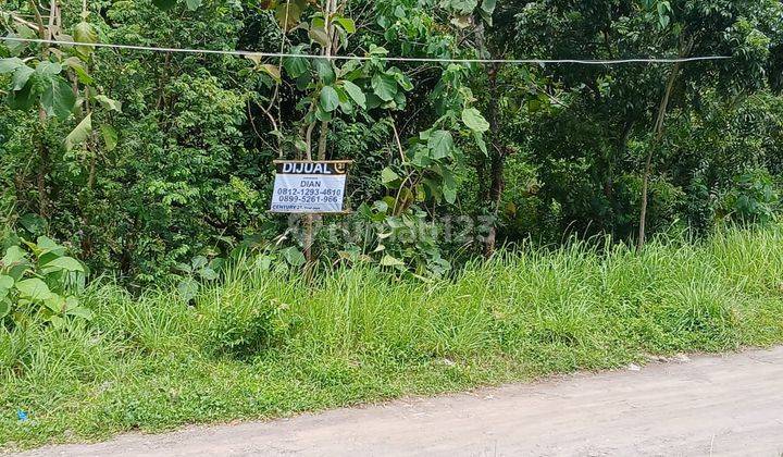 Tanah Cikerai Akses Jalan Raya Dekat Kantor Dinsos 1