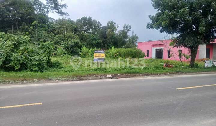 Tanah Strategis Rangkasbitung Jalan Soekarno Hatta