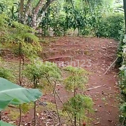 Tanah Jalan Ds Teneng Cinangka Nego Sampai Deal Tanah Jalan Ds Teneng Cinangka Nego Sampai Deal