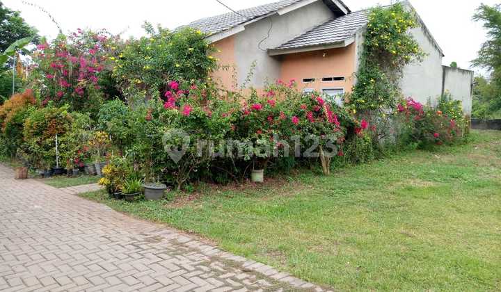Minimalist Residence Bukit Batu Kramatwatu Negotiable Minimalist Residence Bukit Batu Kramatwatu Negotiable