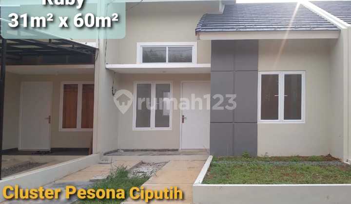 CUKUP BAYAR 5 JUTA ALL IN SAMPAI AKAD KREDIT 1
