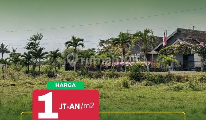 Dijual kavlingan Dekat Pasar godean Yogyakarta Sertifikat SHM