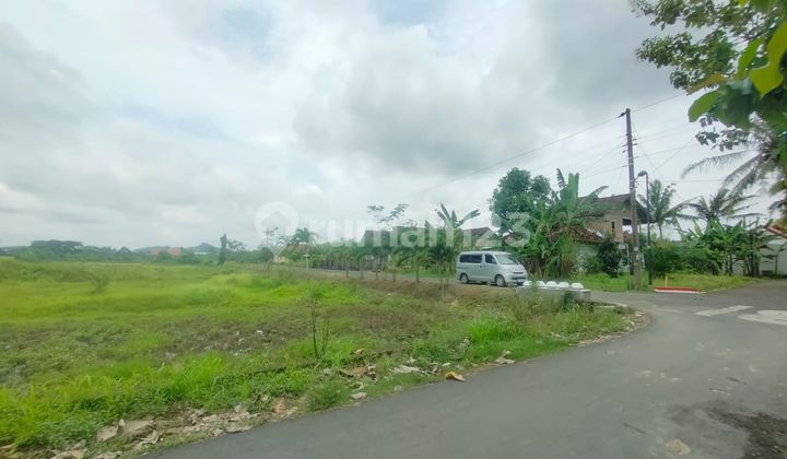 Tanah Kavling Jogja Barat - Nyaman untuk Hunian & Investasi