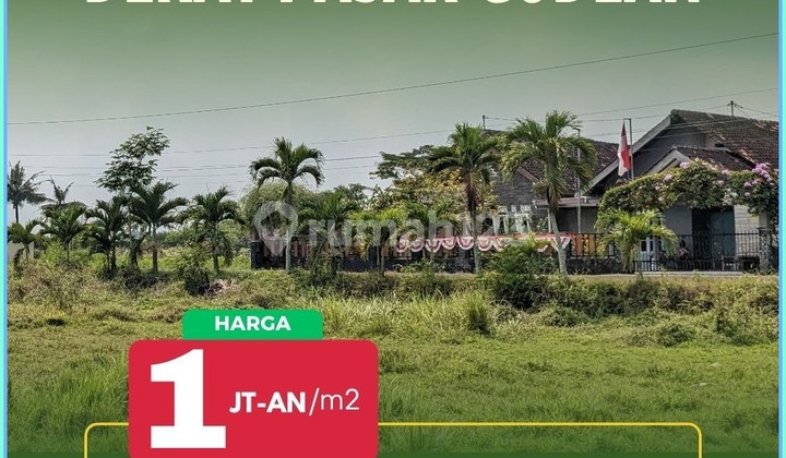 JUAL TANAH SHM YOGYAKARTA DEKAT AL AZHAR INTERNASIONAL JUAL TANAH SHM YOGYAKARTA DEKAT AL AZHAR INTERNASIONAL