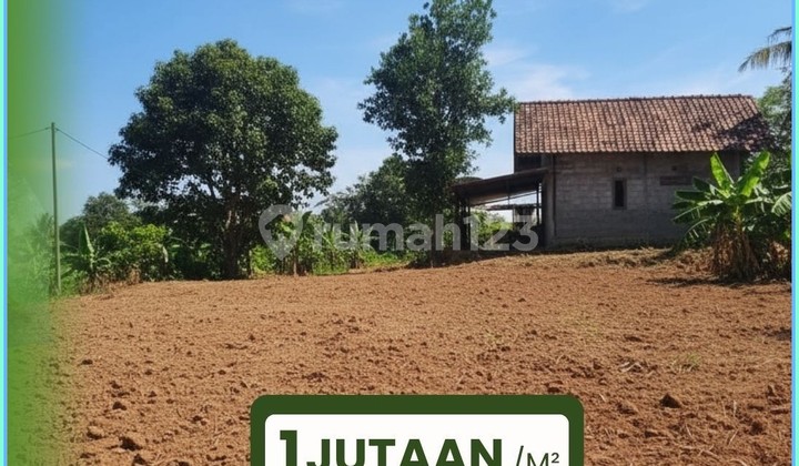 Affordable Plots in Jogja, Priced at Millions, Sewon Bantul, Strategic Location Affordable Plots in Jogja, Priced at Millions, Sewon Bantul, Strategic Location