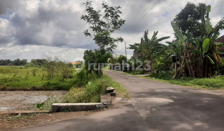 Looking for Cheap Land in Jogja? This Strategic Plot in Godean is the Choice Looking for Cheap Land in Jogja? This Strategic Plot in Godean is the Choice