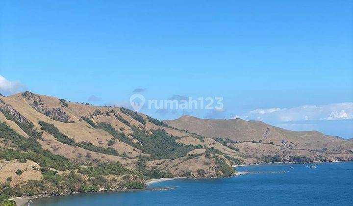 Labuan Bajo, Flores, Ntt. Dijual 4 Lahan Tanah Bagus, Lokasi Terbaik Cocok Untuk Villa Hotel Dll. 1