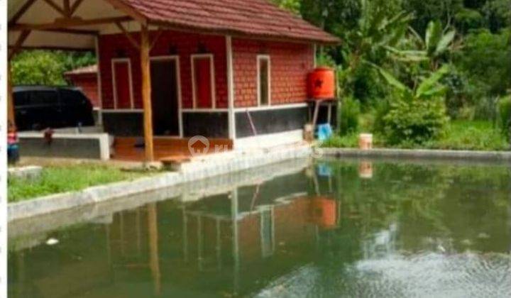 Vila mungil tanah Luas di subang Jawa barat 1