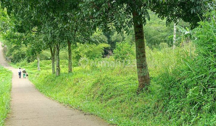 TANAH ZONA KUNING DI BANJARAN ARJASARI BANDUNG 5