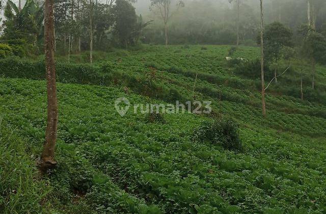 Jual tanah di Pangalengan bandung 2