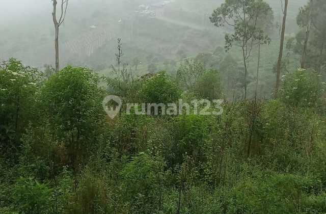 Jual tanah di Pangalengan bandung 3