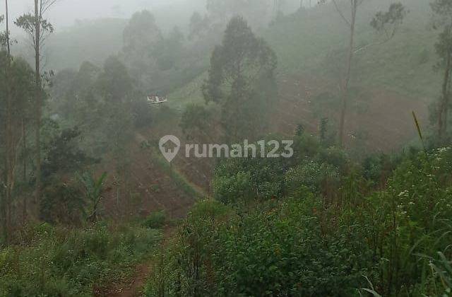Jual tanah di Pangalengan bandung 5