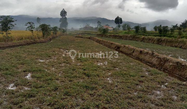JUAL TANAH CIWIDEY ZONA KUNING BANDUNG  5