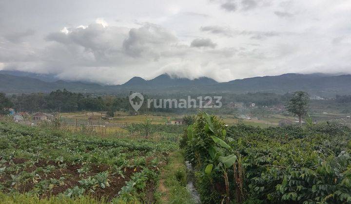 JUAL TANAH CIWIDEY ZONA KUNING BANDUNG  9