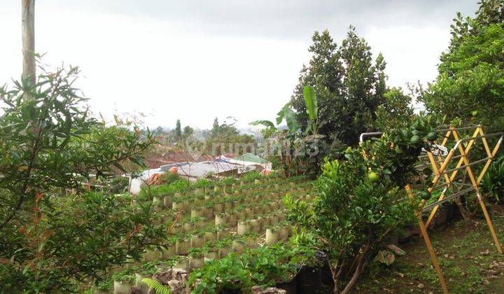 Villa di Ciwidey bandung 2