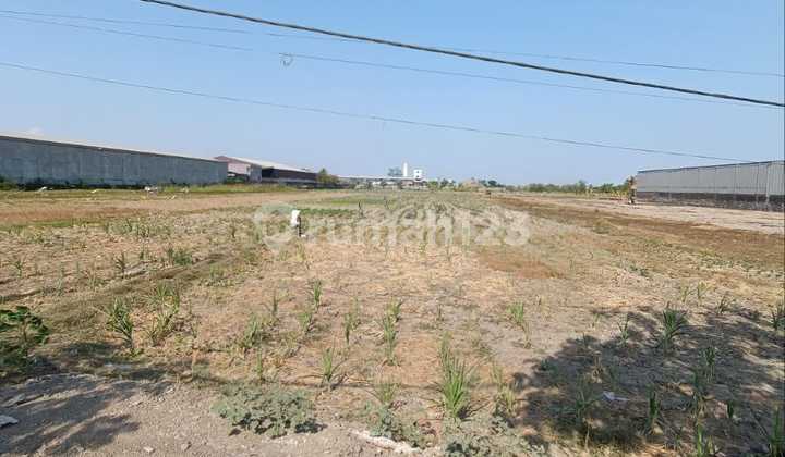 Selling Industrial Land on Pertamina Road, Gresik Near Toll Gate