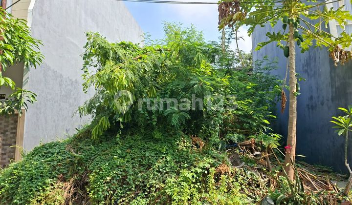 Jual Kavling di Koala Regency Surabaya Timur Hadap Selatan HGB Jual Kavling di Koala Regency Surabaya Timur Hadap Selatan HGB