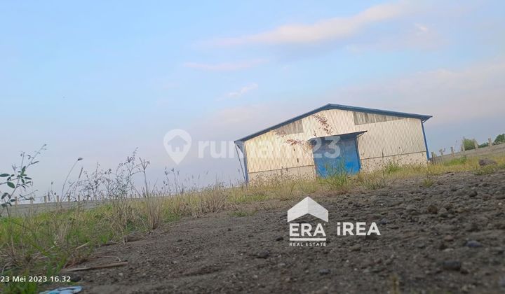 Di Jual Cepat Gudang Besar Jl. Wonorejo Arteri Kaliwungu Wonorejo,kendal 5