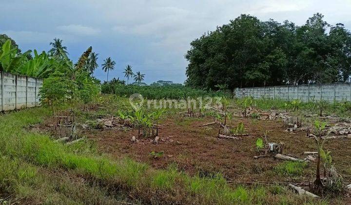 Tanah strategis Batang hari Lampung 2