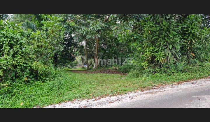 Tanah kavling luas siap bangun area wisata puncak bogor 2531 4