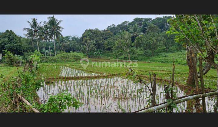 Tanah kavling luas siap bangun area wisata puncak bogor 2531 8