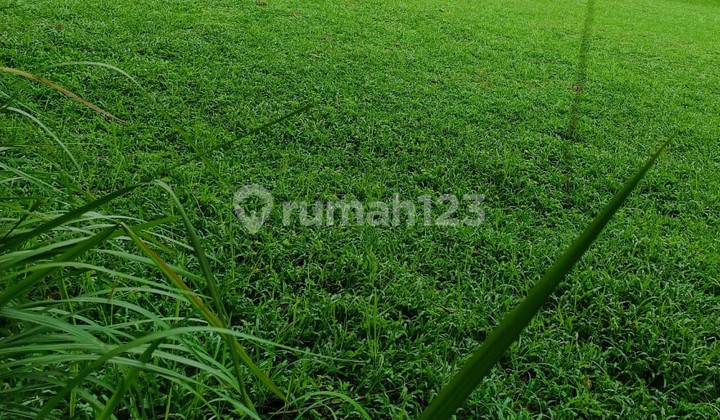 Kavling Termurah Di Citra Grand Bu Grecep 2