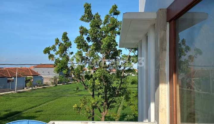 Dijual Rumah Lantai 2 Minimalis View Sawah  9