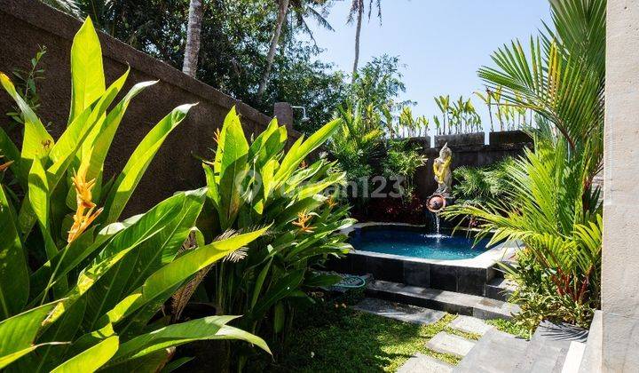 Dijual Rumah Semi Villa View Sawah Di Lukluk Mengwi Badung  5