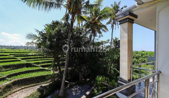 Dijual Rumah Semi Villa View Sawah Di Lukluk Mengwi Badung  6