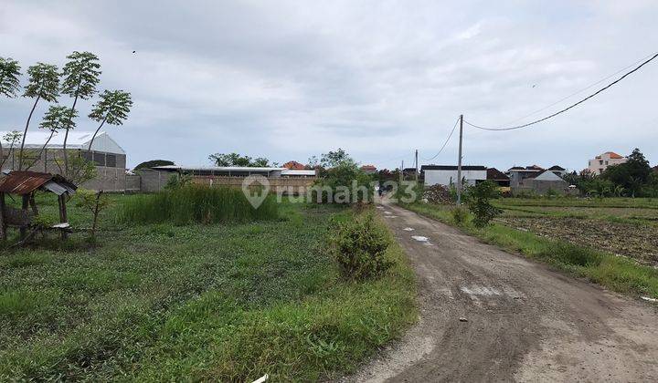 Dijual Tanah Kosong Strategis Di Kawasan Denpasar Barat  4