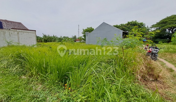 Tanah murah kavling dekat exit toll gabus srijaya tambun utara 5