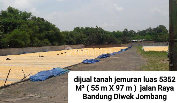 Dijual tanah diwek jombang 3