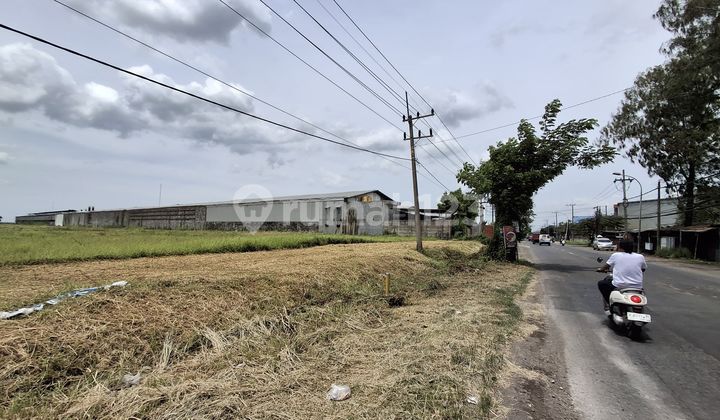 Land for Sale in Kedamean, Gresik