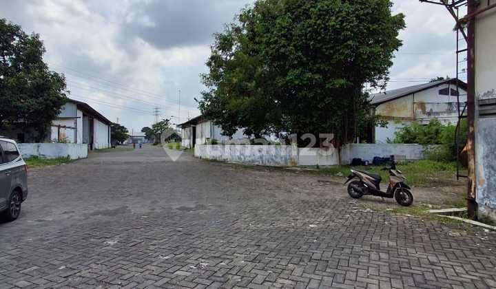 Warehouse for Rent in Driyorejo Warehouse for Rent in Driyorejo